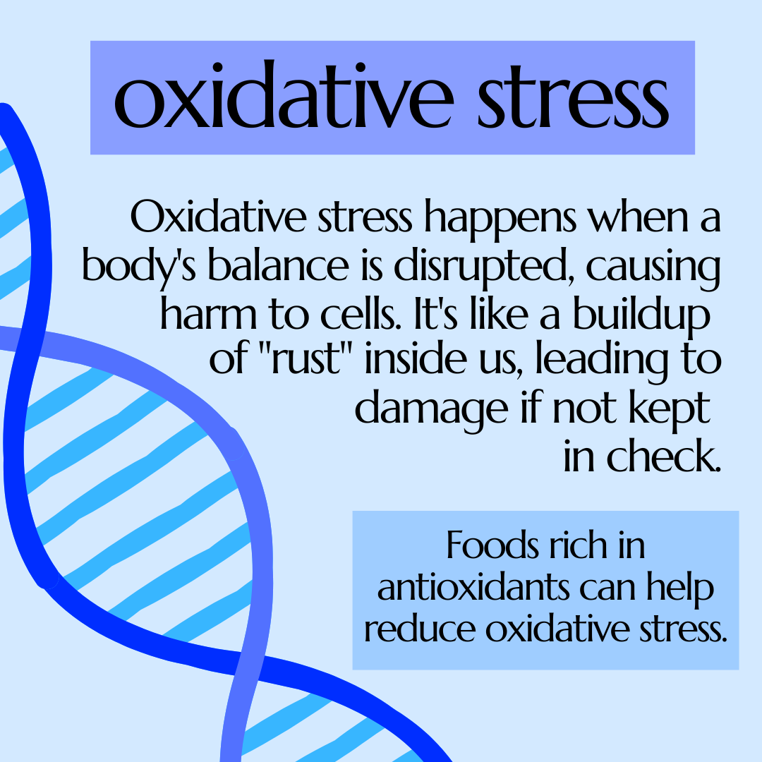 Oxidative stress explained, with a tip on antioxidant-rich foods