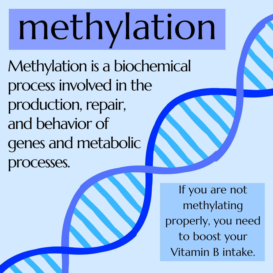 Methylation explained, with a tip on boosting vitamin B intake