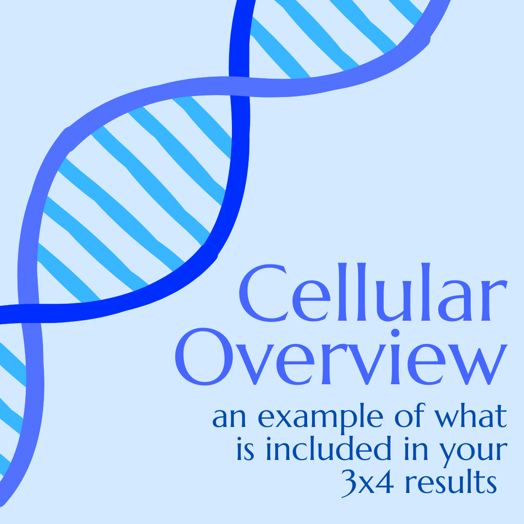 Cellular Overview: an example of what is included in your 3x4 results